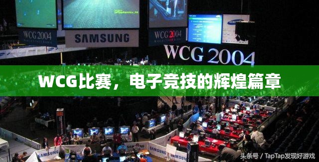 WCG比赛，电子竞技的辉煌篇章