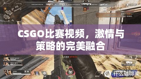 CSGO比赛视频，激情与策略的完美融合